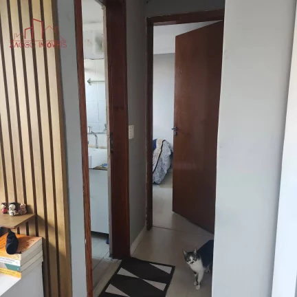 Imagem Apartamento no Inocoop - 2 Dorms - 1 vaga