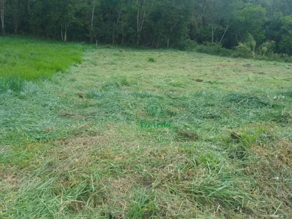 Imagem Terreno à venda, 1275 m² por R$ 480.000,00 - Recanto das Gaivotas - Santa Isabel/SP