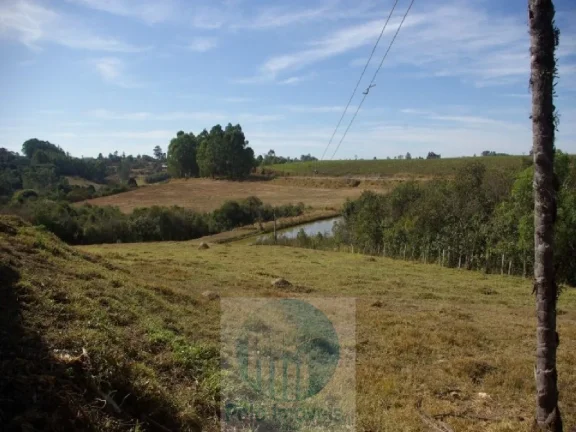 Imagem SÍTIO A VENDA 66,5 HECTARES para GRÃOS E GADO, JACUÍ MG