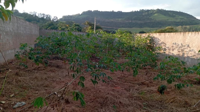 Imagem EXCELENTE OPORTUNIDADE TERRENO Á VENDA EM CAPETINGA/MG