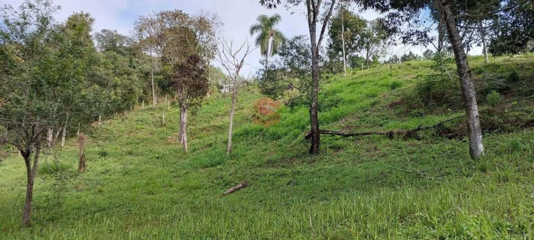 Imagem Chácara à venda em Campo Largo/PR