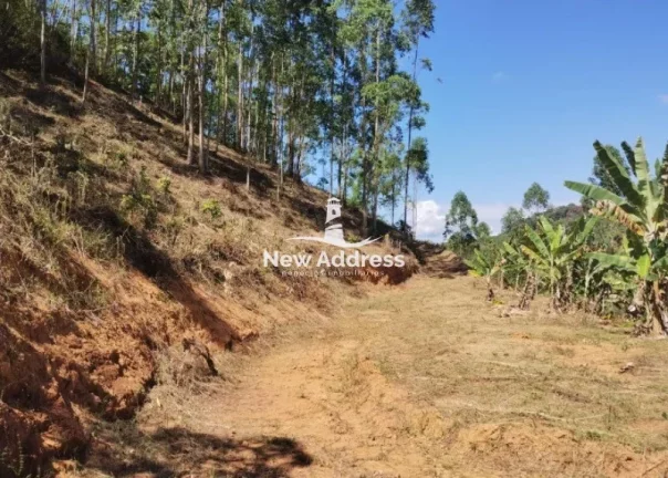 Imagem Chácara à venda com mais de 3.000m² em Alfredo Chaves/ES