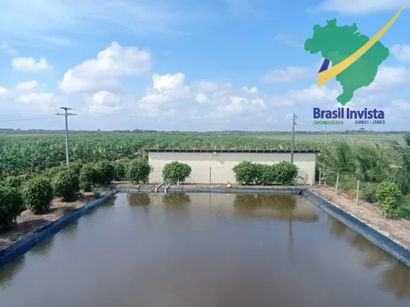 Imagem FAZENDA COM EXCELENTE PRODUÇÃO PRÓXIMA A PORTO SEGURO