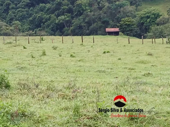 Imagem Chácaras a Venda na Região de Wenceslau Braz - MG.