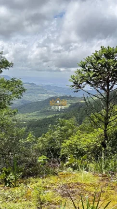 Imagem Terreno com 2 Dormitorio(s) localizado(a) no bairro Mato Comprido em Morro Reuter / RIO GRANDE DO SUL Ref.:1571