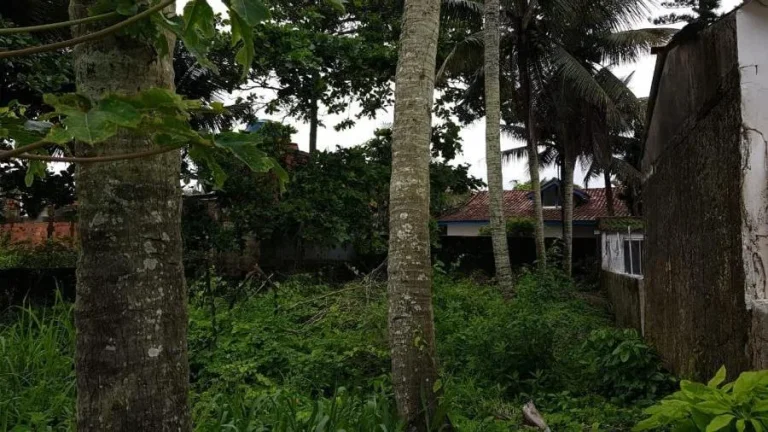 Imagem Terreno para Venda em Itanhaém, Jardim Luiza Mar Mirim