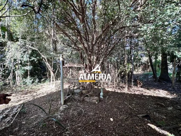 Imagem Chácara com 3 dormitórios à venda, 3618 m² por R$ 3.500.000,00 - Estádio - Rio Claro/SP