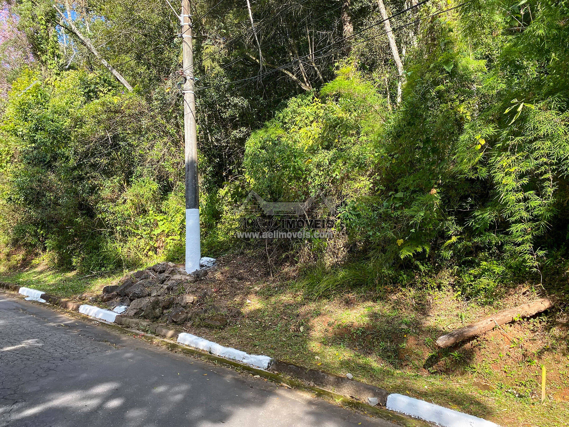 Imagem Terreno à venda em Campos do Jordão – Com vista para linda área verde