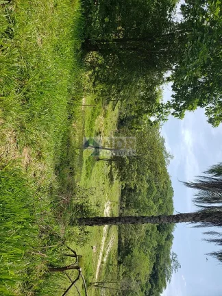 Imagem AREA RURAL EM INHAÚMA