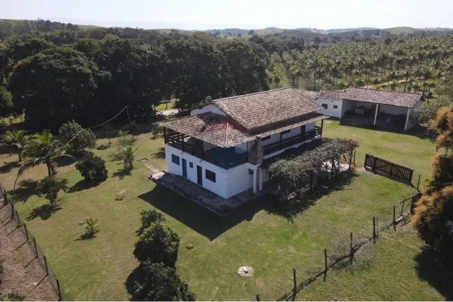 Imagem Sítio Fantástico com produção de Limão