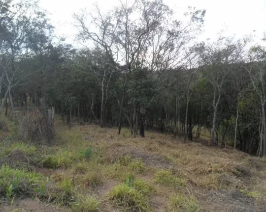 Imagem Oportunidade! área de 6.000 m² .