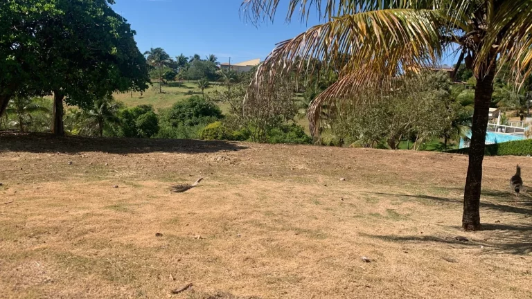 Imagem TERRENO RESIDENCIAL em GUARAPARI - ES, NOVA GUARAPARI