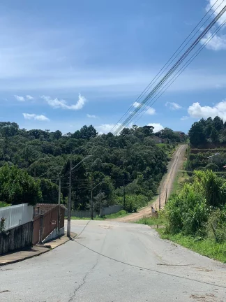 Imagem Area a venda em Rio Negrinho SC