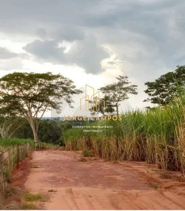 Imagem FA-25232 - FAZENDA À VENDA NA REGIÃO DE PALESTINA-SP