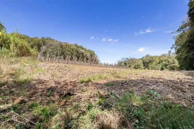 Imagem Chácara no Ferraria - Passaúna