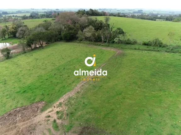 Imagem Chácara 3 dormitórios à venda Zona rural Restinga Seca/RS