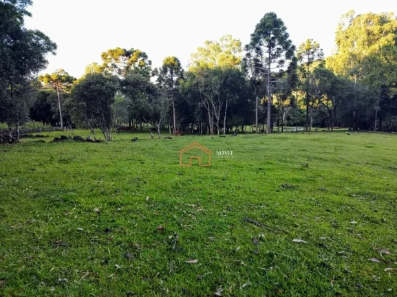 Imagem CHACARA RURAL em CAMPO BELO DO SUL - SC, Interior