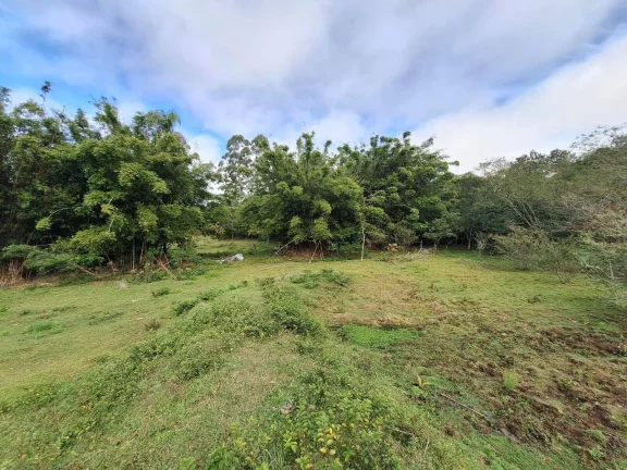 Imagem Sitio à venda, com 1.6 hectares, córrego natural, no Espigão, Viamão/RS