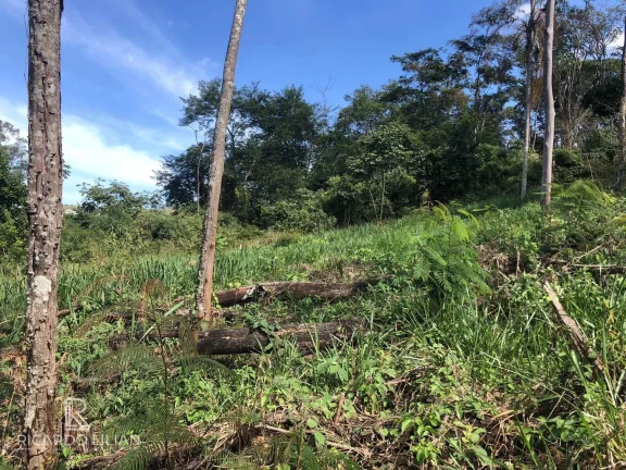 Imagem À venda: um lindo terreno plano de 378m² na encantadora cidade de Bom Jesus dos Perdões!