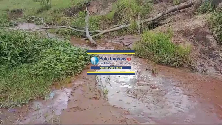 Imagem Fazenda 40 alqueires com estrutura, casa, água, energia, altitude para plantar café e gado, cidade Santo Antônio da Alegria - SP