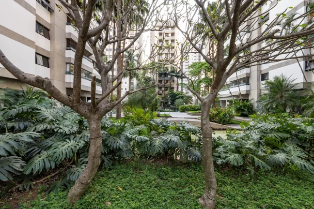 Imagem Apartamento moema Condomínio Avis Rara proximo parque ibirapuera