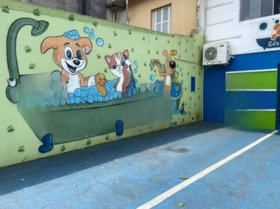 Imagem ???? Casa Comercial para locação, ideal para Pet Shop ????