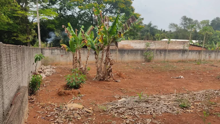 Imagem Terreno à Venda, 1.000 m² em Bosque Dos Eucaliptos - Araçoiaba Da Serra
