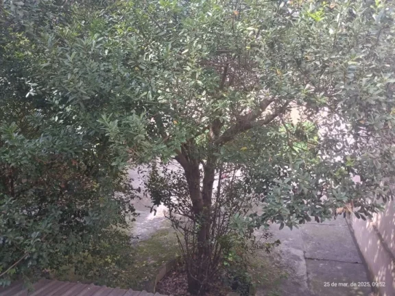 Imagem "Quer um espaço pronto para negócios e valorização? Essa chance é rara!"