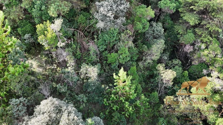 Imagem Terreno a venda em Campos do Jordão