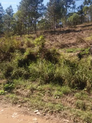 Imagem Área para Venda em Ribeirão Pires, Ouro Fino Paulista
