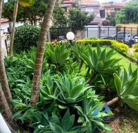 Imagem Lindo apartamento todo reformado a 10 minutos da estação do metro Conceição, 3 dormitórios, 1 vaga e lazer completo.