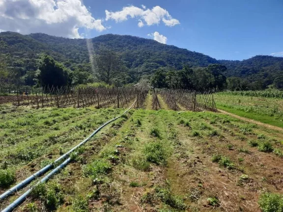 Imagem Terreno à Venda, Plano, Nível da Rua, com 11.089 m2. Sul do Rio, Santo Amaro da Imperatriz, SC