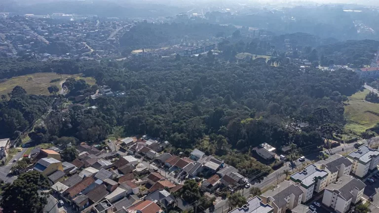 Imagem Terreno Santa Candida com 6161m²