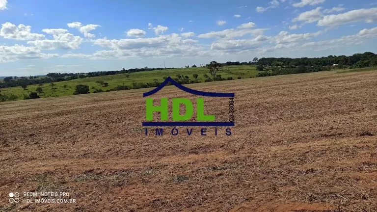 Imagem 28 alqs com 24,5 alqs em Soja.