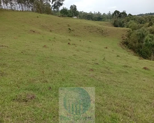 Imagem Sítio 20 ha ou 8,26 alq. a venda, para café, gado Jacui Sul de Minas Gerais
