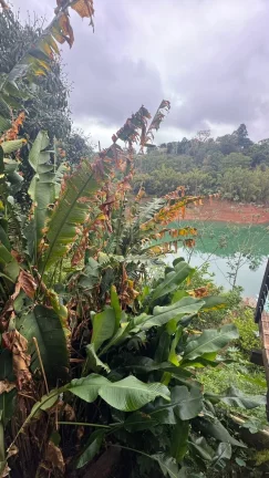 Imagem Chacará Pé na Agua - Jaguari