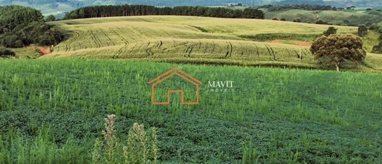 Imagem SITIO RURAL em CAMPO BELO DO SUL - SC, interior