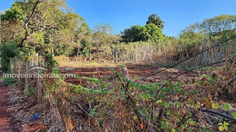 Imagem Área Recreio das Acácias à venda 10.000m² #imoveisribeirao.c