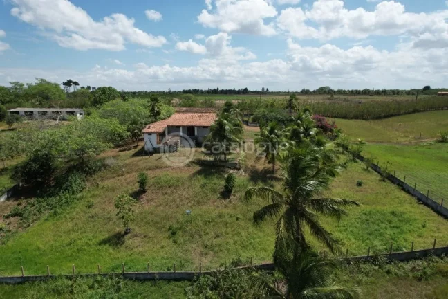 Imagem Chacara a venda completa e produtiva em Sao jose de mipibu