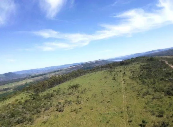 Imagem OPORTUNIDADE! FAZENDA A VENDA EM PEIXOTO (LAJE-IBIRACI)
