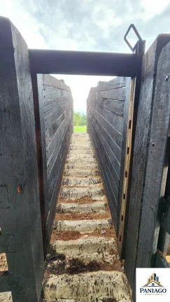 Imagem Fazenda 1550ha