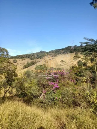 Imagem SI-25192- SÍTIO À VENDA EM IGARATÁ-SP
