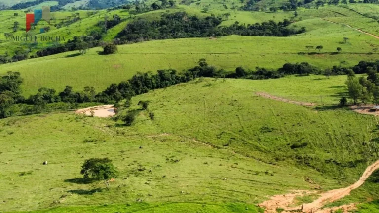 Imagem Fazenda região de Itapira SP