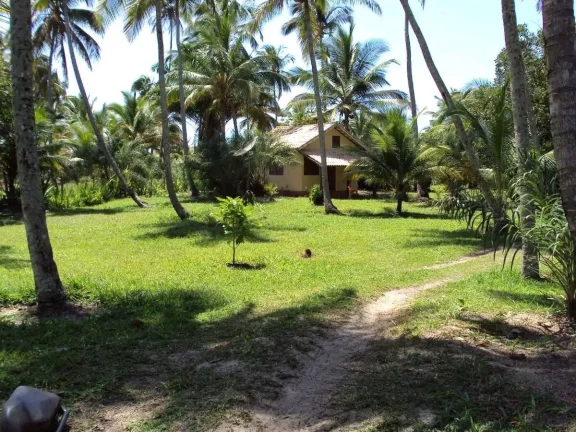 Imagem ÁREA NA PRAIA DO GUAIÚ NO EXTREMO SUL DA BAHIA