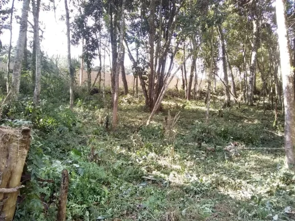 Imagem Terreno com 1889 m2 próximo a praça do Caputera - Aceita financiamento bancário