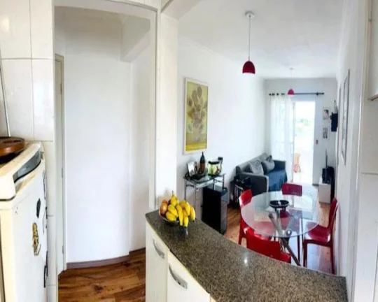 Imagem APARTAMENTO BUTANTÃ, 2 DORM , 1 VAGA DE CARRO ...