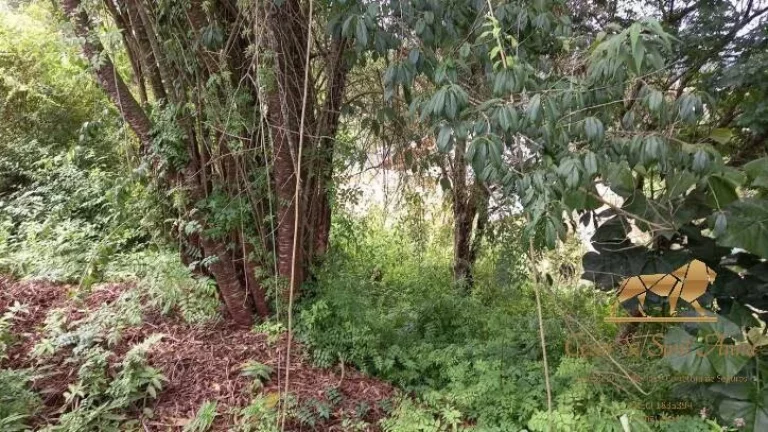 Imagem Terreno à venda, 668 m² - V Cristina - Campos do Jordão/São Paulo