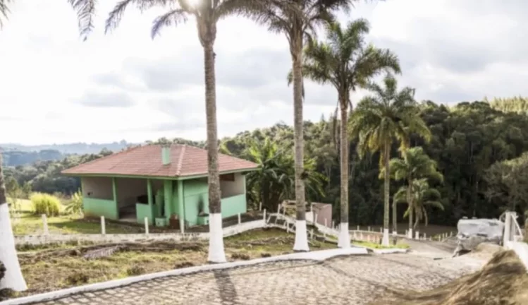 Imagem Fazenda para Venda - Roça Velha