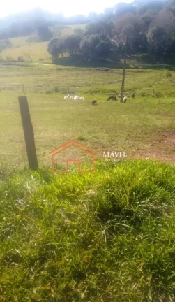 Imagem CHACARA RURAL em ANITA GARIBALDI - SC, Interior