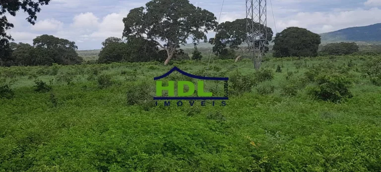 Imagem Fazenda 240 Alqs Dupla Aptidão em Peixe TO